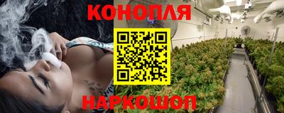 гашик Гусев