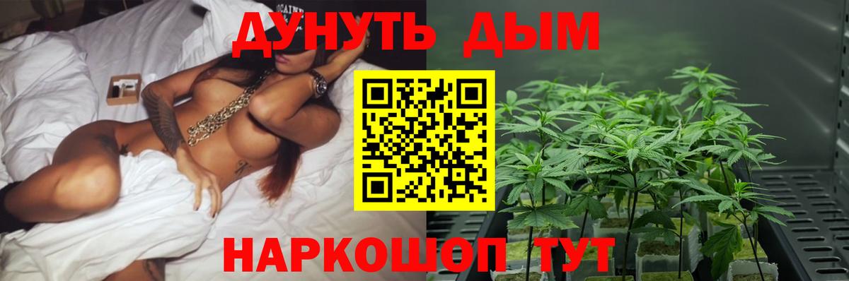 Кудымкар  Конопля планчик  Вход с VPN  Бошки марихуана MAZAR 